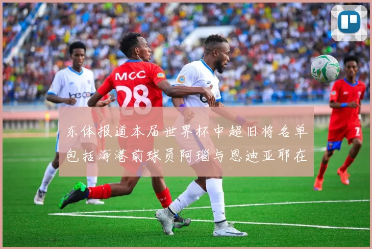 东体报道本届世界杯中超旧将名单包括海港前球员阿瑙与恩迪亚耶在内的10位球员